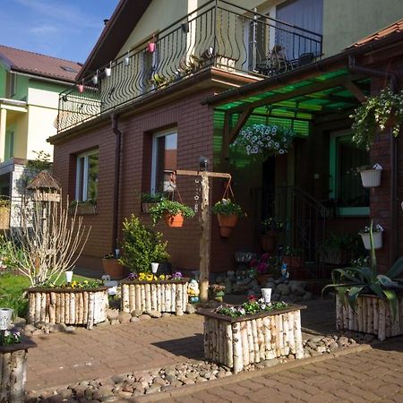 Ogrodek U Eli Apartman Kołobrzeg Kültér fotó
