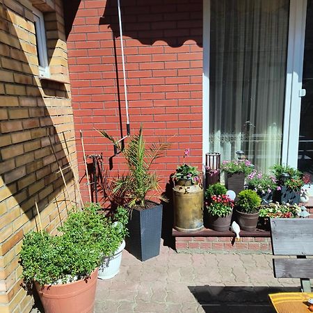 Ogrodek U Eli Apartman Kołobrzeg Kültér fotó