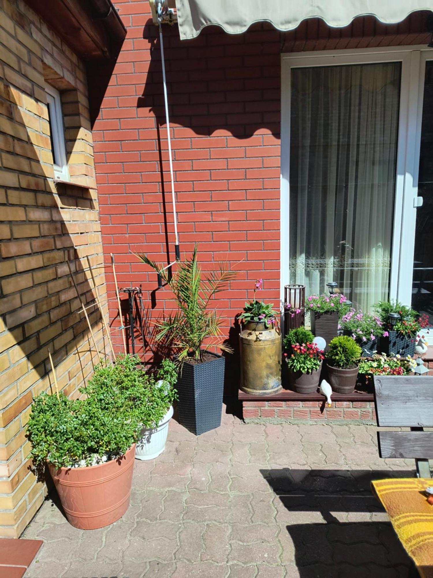 Ogrodek U Eli Apartman Kołobrzeg Kültér fotó